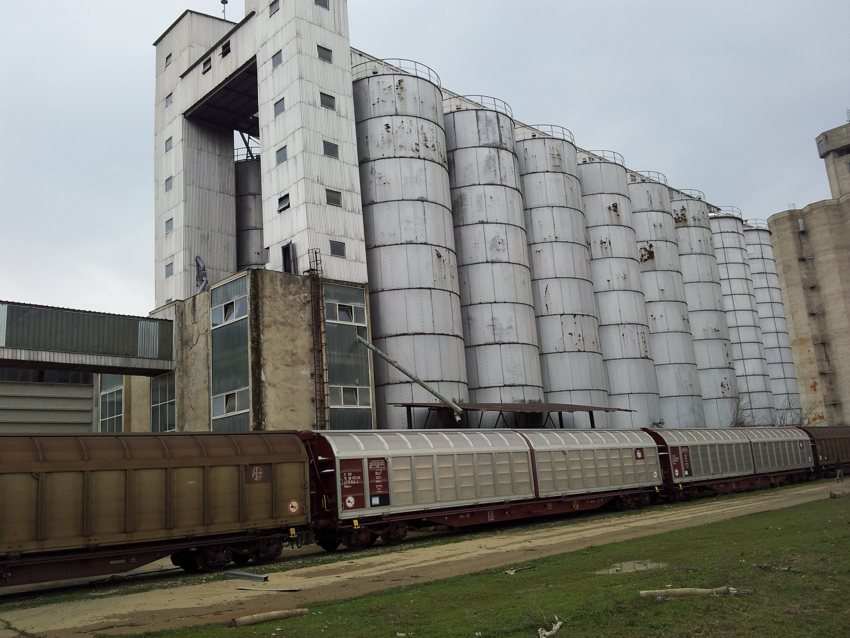 Siloset e Agroelita