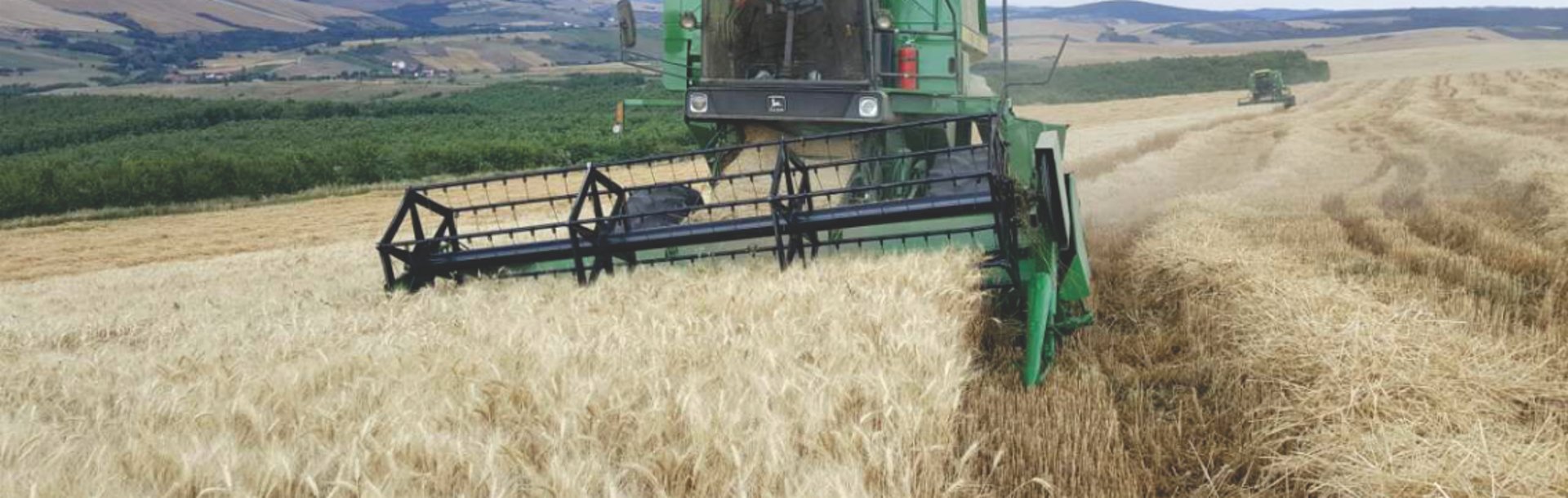 Korrja në fushat e Agroelita